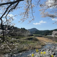 画像258
