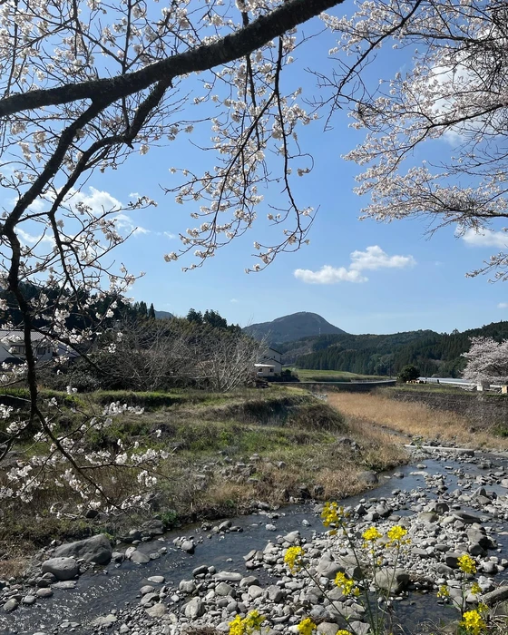 画像258