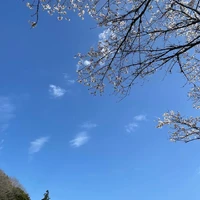 画像259