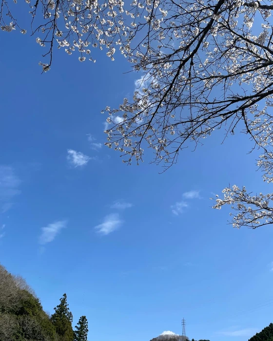 画像259