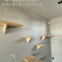 画像381