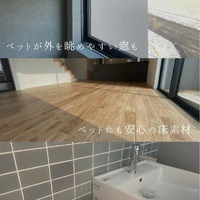 画像383