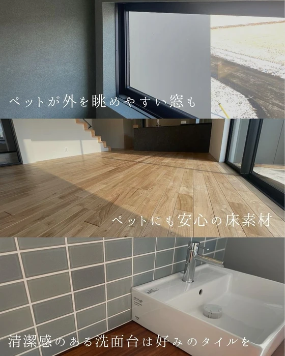画像383