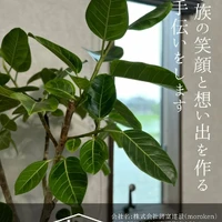 画像398