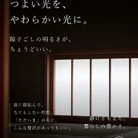 画像521